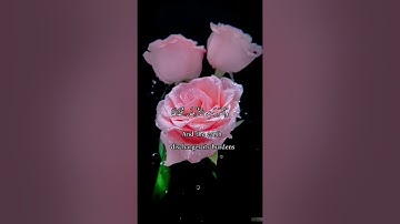 واتس أب قرآن كريم القارئ احمد العجمي سورة ((الزلزله))