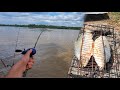 TERRIBLE PESCA EN EL PARANA!! ZARATE.  pesca y cocina