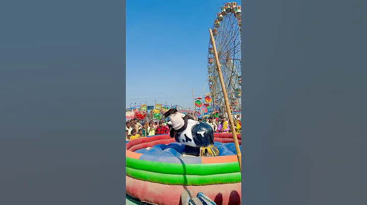 Teri Saari wish ❤️| #shorts |#viralvideo |#trending |#song |#mela