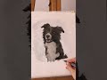 Practicing more pet portraits 🐶✨ #petportrait #portraitfeed #artist #bordercollie