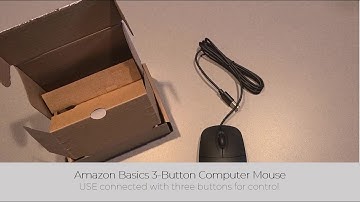 In Hand Review of Amazon Basics 3-Button Wired USB Computer Mouse