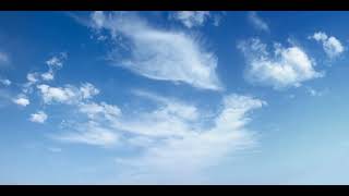 Accident prone backing track