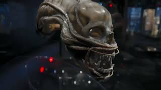 A Drone Head from Ridley Scotts Alien (maybe) at the Academy Museum of Motion Pictures (No audio)