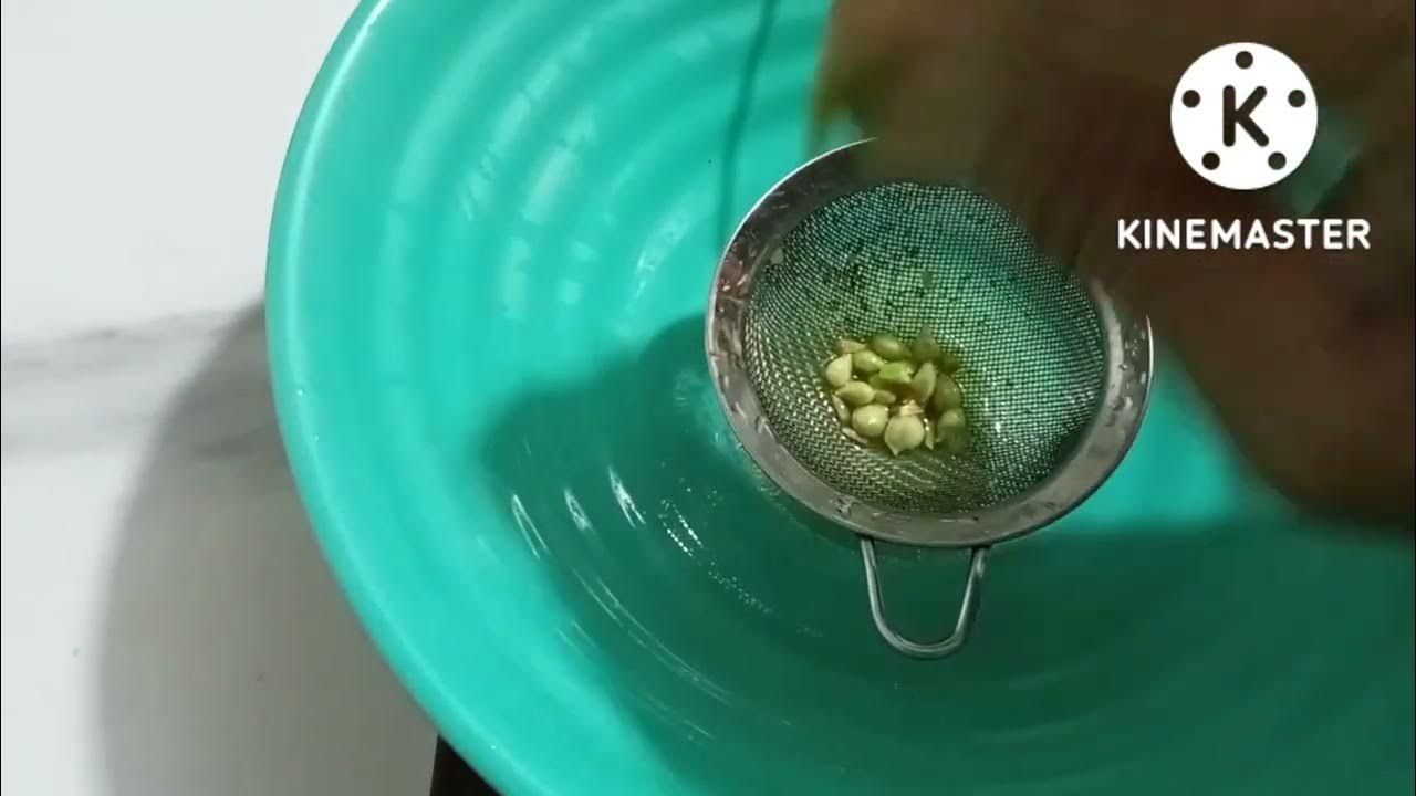 Simple Cooking YouTube simple-cooking-youtube