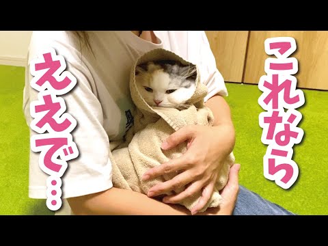 絶対に爪切りさせてくれない猫をおくるみしたらまさかの反応が…