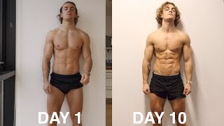 10 DAY FAT LOSS TRANSFORMATION (Mini Shred Vlog)