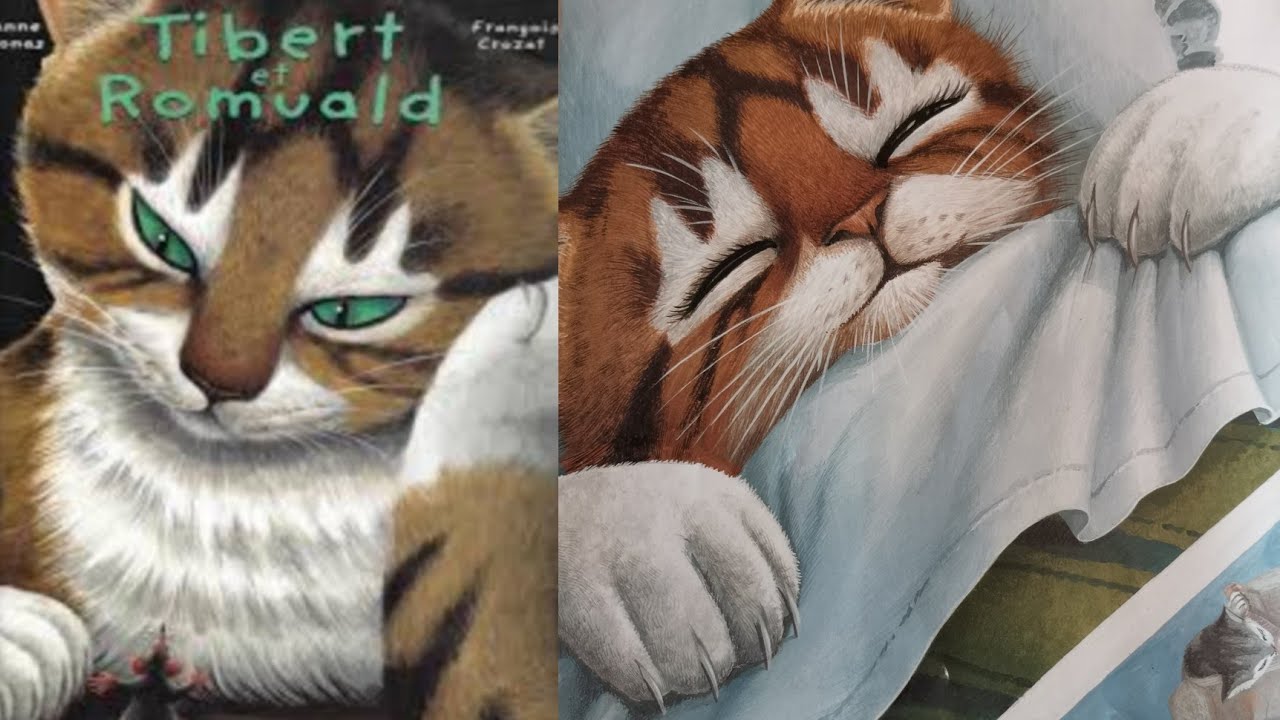 Tibert Et Romuald Lecture Pour Enfant Youtube