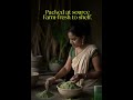 Farm-Fresh Moringa Powder for Energy &amp; Immunity | Pure Nutrition from Farmerfirst