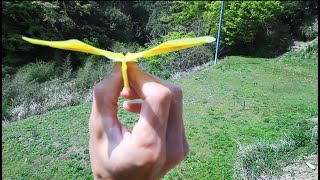 How to Make a Paper Airplane Flapping Like a Bird #3