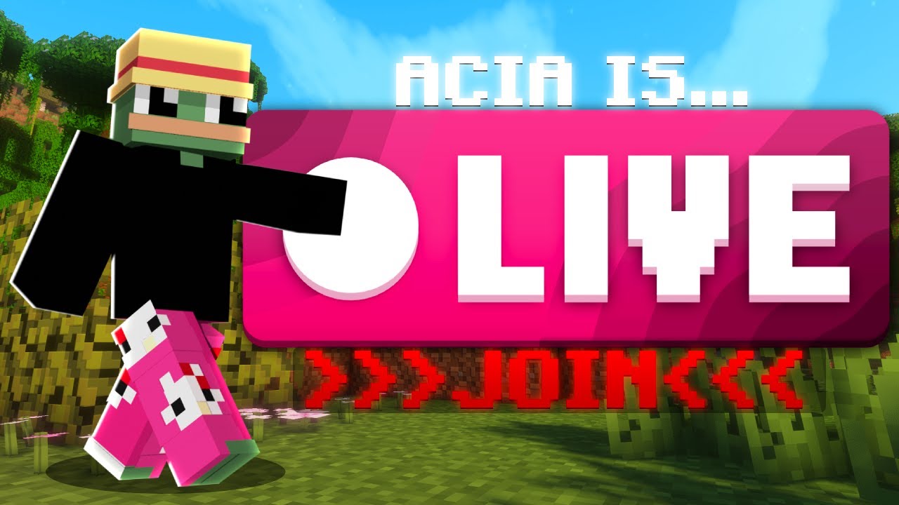 Rating Base and fun on DONUTSMP!