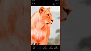 Create transparent cut out and change background using LightX Photo Editor for Android screenshot 4