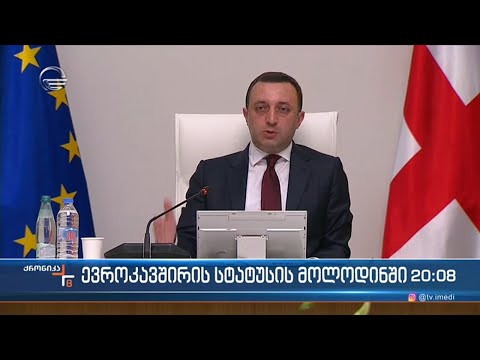 საქართველო ევროკავშირისგან დამსახურებულ სტატუსს ითხოვს