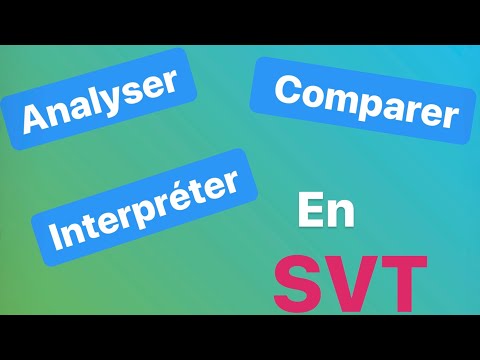 Vidéo: Différence Entre L'analyse Comparative Et L'analyse De Rapport