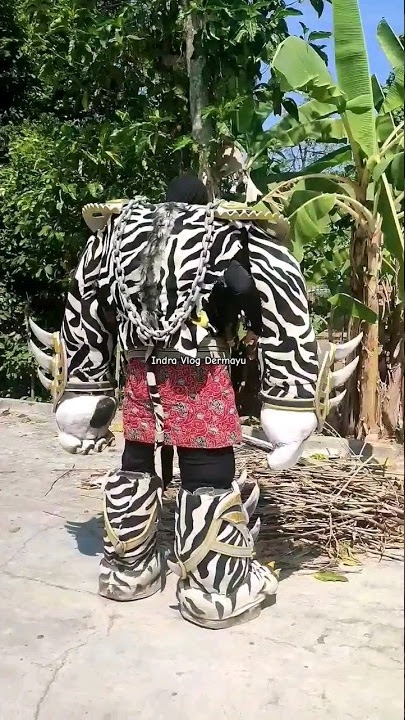 Terbaru!! Cara Memakai Kostum Macan Putih Singa Depok Putra Pai Muda 2023