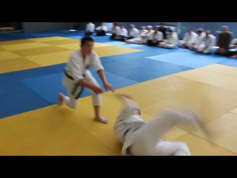 2017.06.25-AIKIDO-გამოცდა (Zura GavardaSvili, Mirian Gegenava, Irakli Baramidze)-8