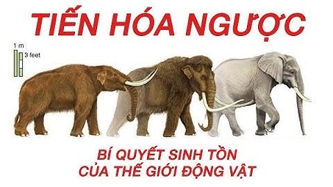 Hieều hướng tiến hóa về thụ tinh ở động vật năm 2024