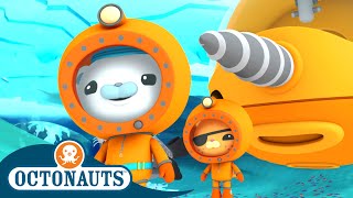 @Octonauts - 🐻‍❄️ The Great Arctic Adventure ❄️ | Series 3 | Winter Special! | Cartoons for Kids
