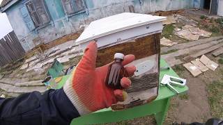 Приманка для бродячих роёв, простейший рецепт...beekeeping for beginners