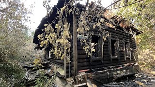 видео: Расчистка заброшенного участка от кустов и деревьев в центре города Раменское картинка: Расчистка заброшенного участка от кустов и деревьев в центре города Раменское