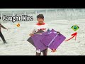 Caught Kite 🤩 पतंग मिली | Caught Kite From Ground #kitelooting #kitecaught