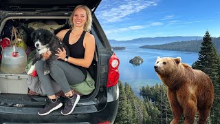 Car Camping Lake Tahoe! I Saw BEARS!!