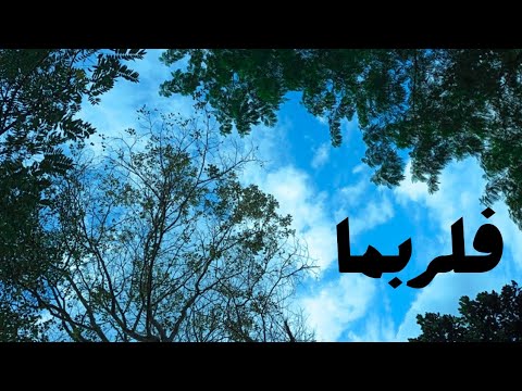 فلربما إتسع المضيق--- بدون موسيقى 