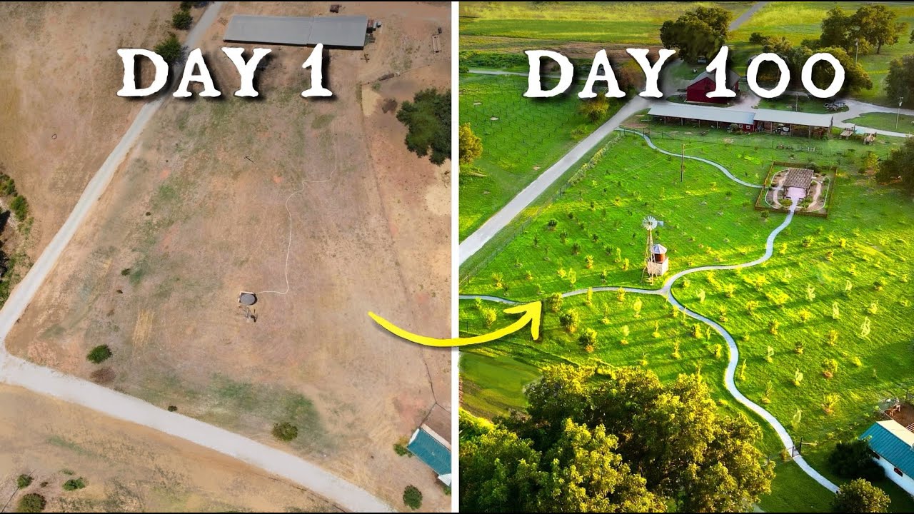 Я построил сад из 200 деревьев за 90 дней