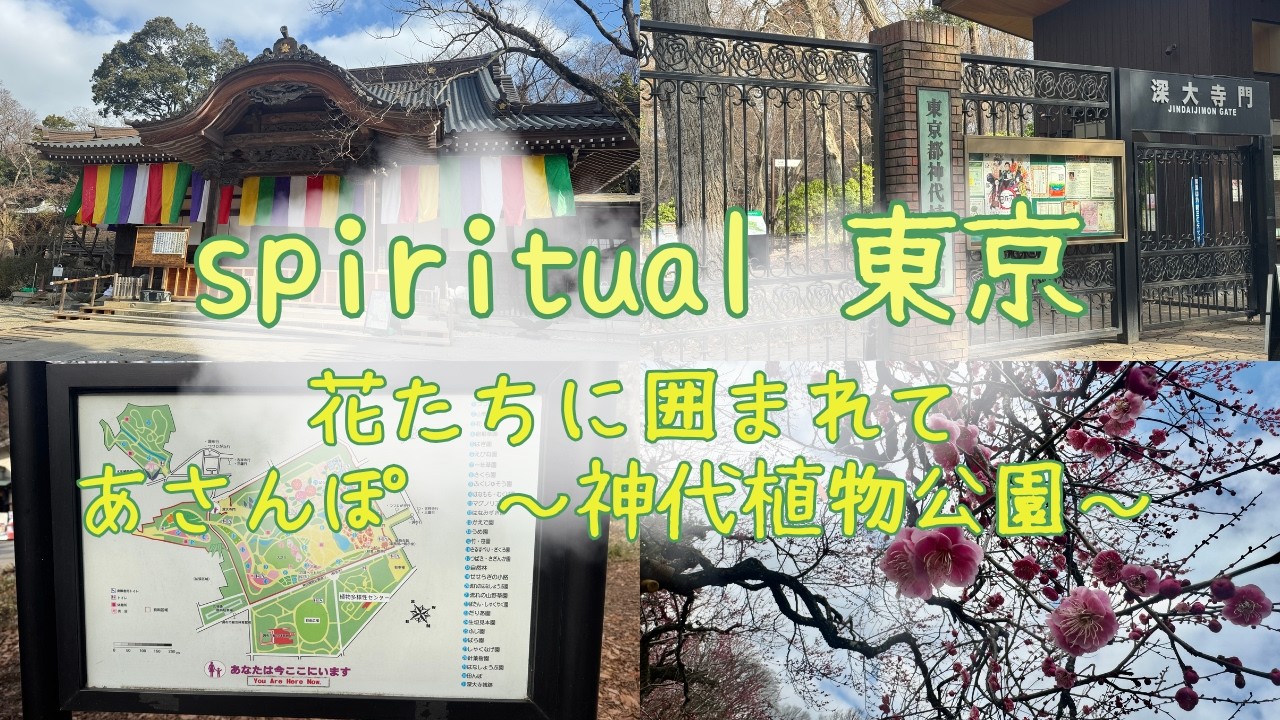 Spiritual Tokyo｜あさんぽ〜花たちに囲まれて神代植物公園〜　Feb. 2026
