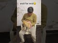 kaki😂 #comedy #funny #funnyclips #all #funnyvideos #reel #viral short 🦮😂😱😱