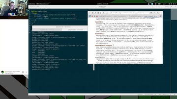 Livestream Coding with Gego/XAREN - Chicken Scheme
