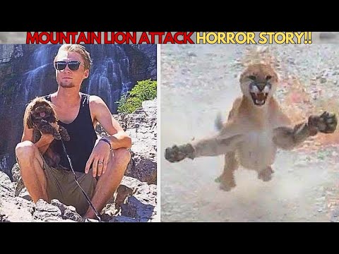 Real-Life Shocking Moments Caught on CCTV | Incredible Moments Caught on Camera [reaction]