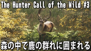森の中で鹿の群れに囲まれる 【 The Hunter Call of the Wild 実況 #3 】 screenshot 5
