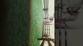 Famous Lizzie and Firecracker in 2015 vs 2023 Wealth