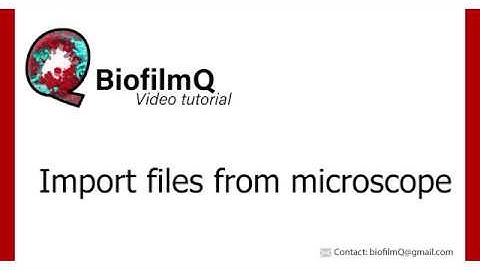 BiofilmQ Tutorials - 1.3.1 Import microscope image files