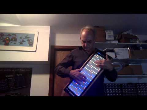 LinnStrument pulse synth improv