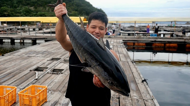 高級黒マグロが潜む釣り堀へ潜入！獲れたてマグロを肴に飲みまくる！