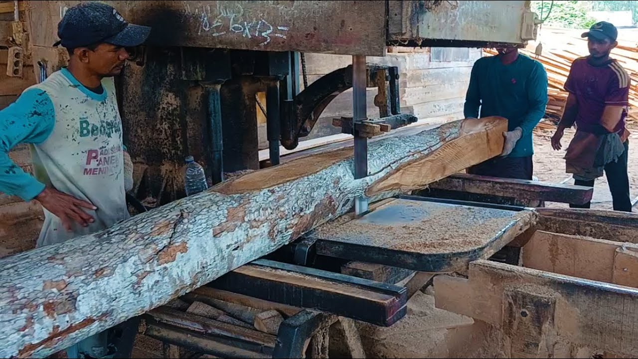 The Mystery of the Giant Redwood in the Sawmill – What We Found Shocked ...