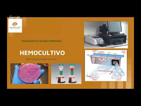 Hemocultivo