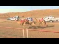 الشوط الثامن المركز الاول مخطط لصاحبه محمد عبدالله سالم السعدي