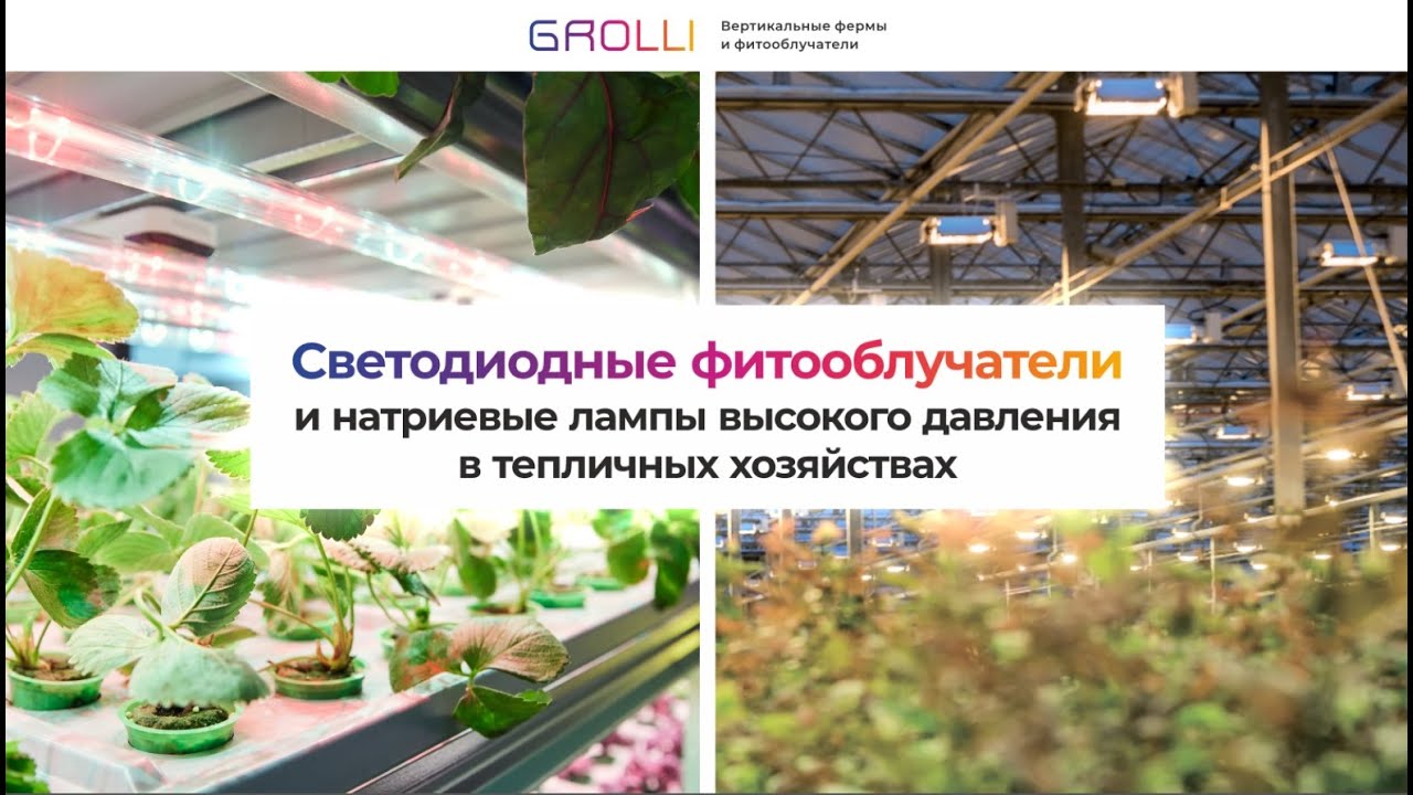 ВЕБИНАР АВОК / GROLLI - Высокоэффективные системы освещения для теплиц и правила их применения