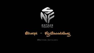 Menepi-nathan fingerstyle