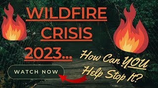 WILDFIRE SEASON: THE #1 GUIDE TO COMBATTING OUR WORLD ON FIRE