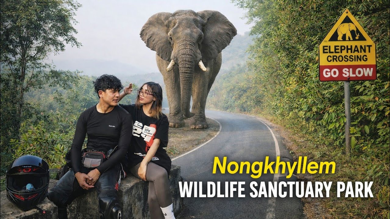 Sien ba nyngkong ba ngi iaid lyngba na Tasku (lailad) ter ter sha umling 😱♥️