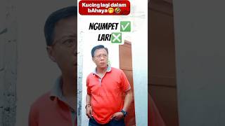 Gawat mpus dalam bahaya😱 #short#komedingakak #hiburanlucu #comedy