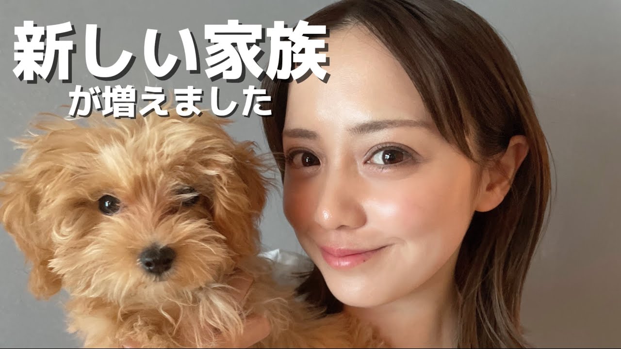 新しい家族が増えました🐶