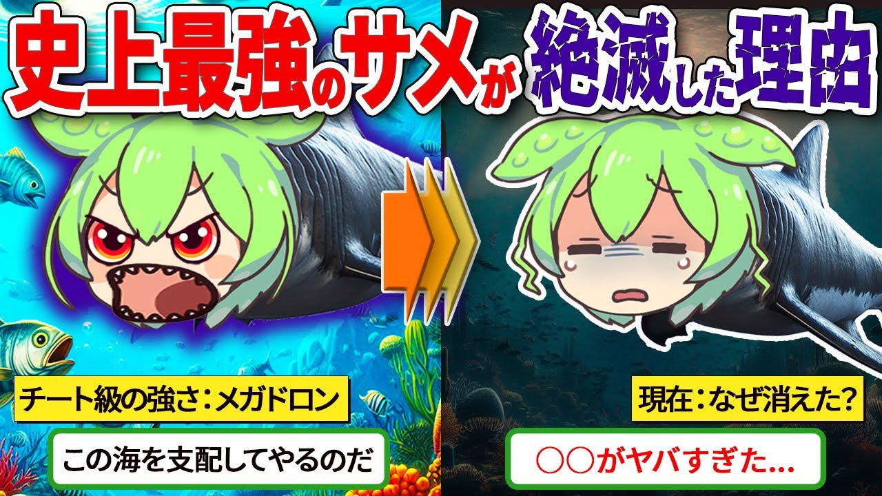 【9割が知らない】メガロドンはなぜ絶滅したのか？【ずんだもん＆ゆっくり解説】