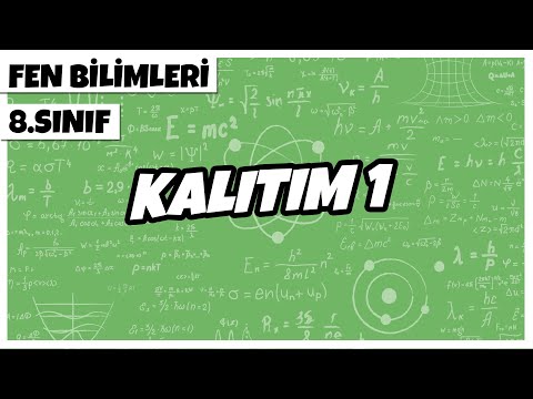 8. Sınıf Fen Bilimleri - Kalıtım 1 | 2022