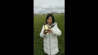 Sferics Demo by SH S1 in comparison to technical EMF