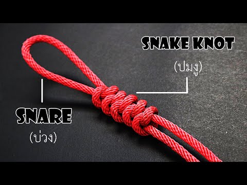 วิธีผูกปมงู(Snake Knot) - Youtube