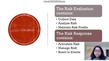 IT Framework Risk IT
